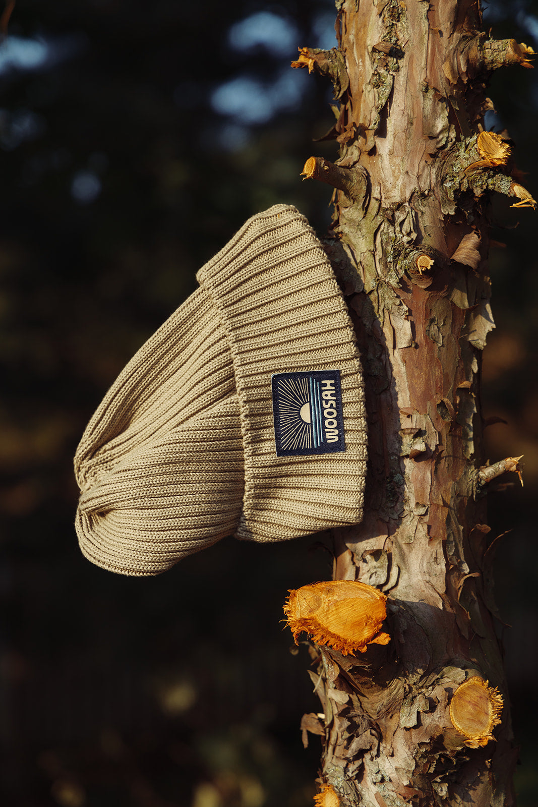 Dunes Beanie