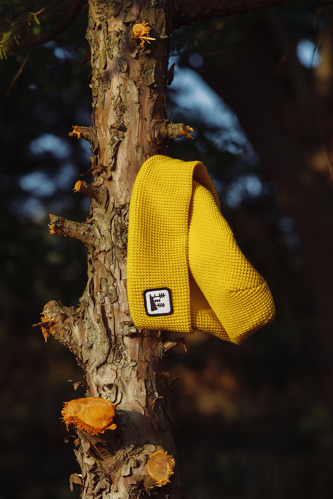 Mustard Grove Beanie