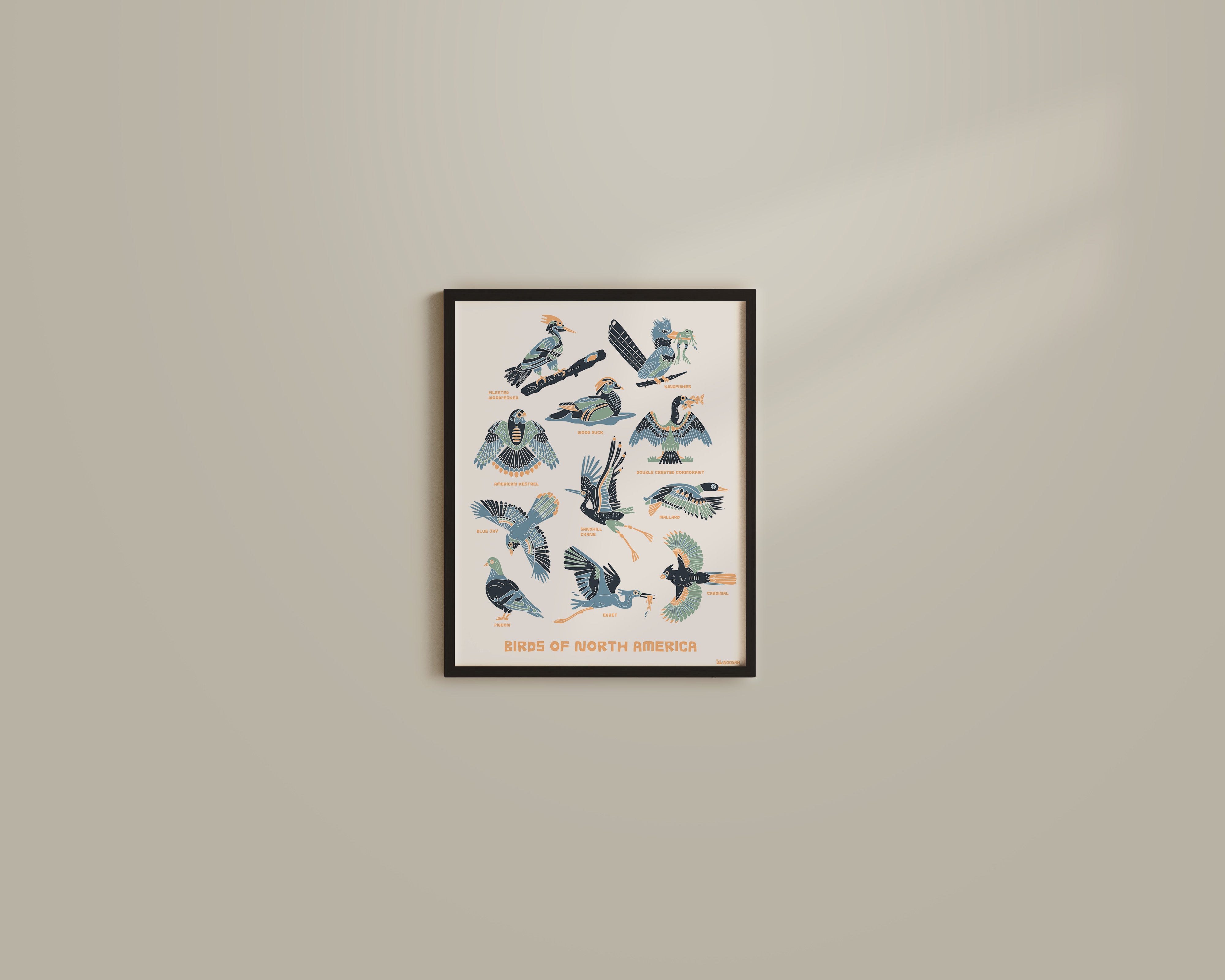 Birds of North America Print