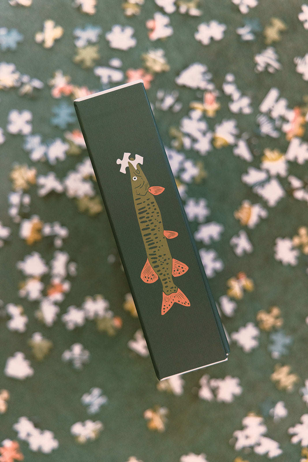 Michigan Fish Puzzle